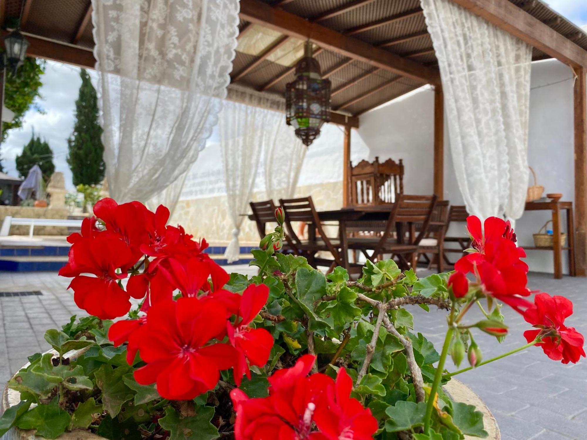 Authentic Canary Style Villa With Private Pool And Garden- Casa Juan Vera Granadilla De Abona Ngoại thất bức ảnh